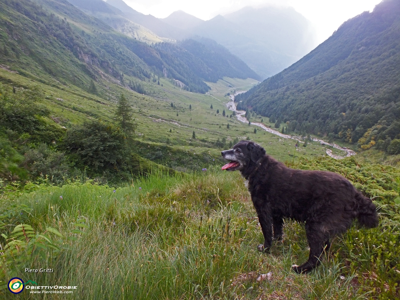 113 siamo alle Piane di Lizzola....JPG